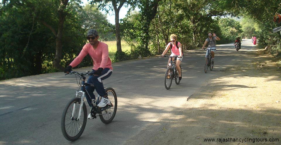 A BICYCLE TRIP THROUGH THE LANES OF UDAIPUR