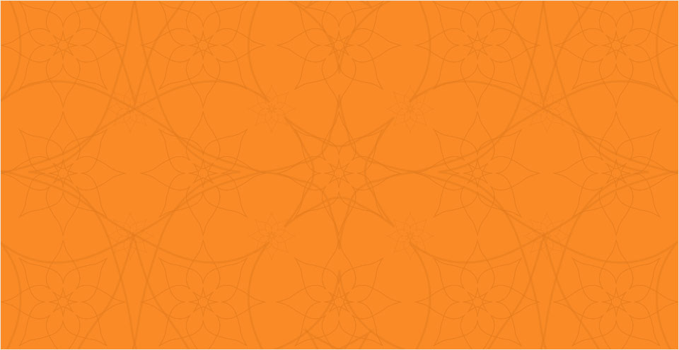 Alwar buffer safari near Bala quila