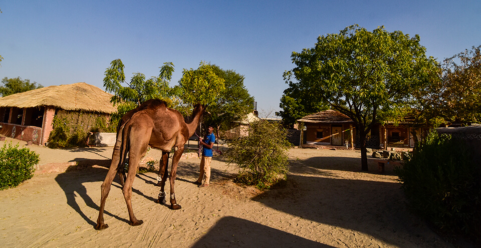 BISHNOI VILLAGE TOUR
