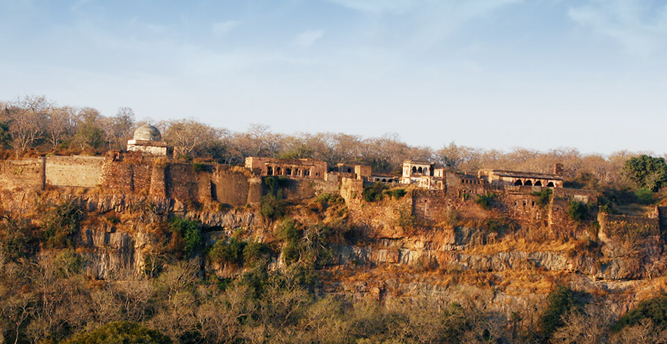 Ranthambore fort