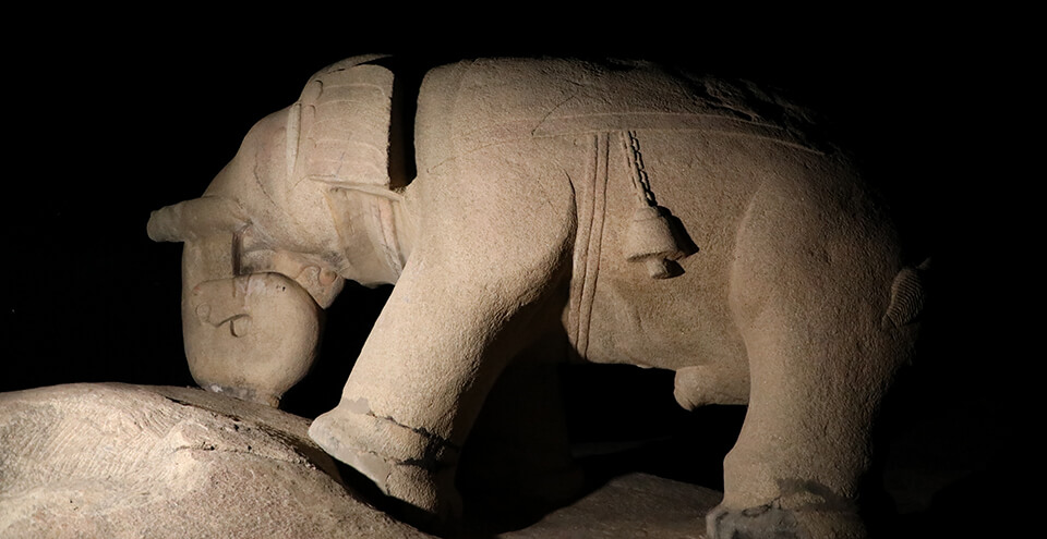 HAATHI BHATA