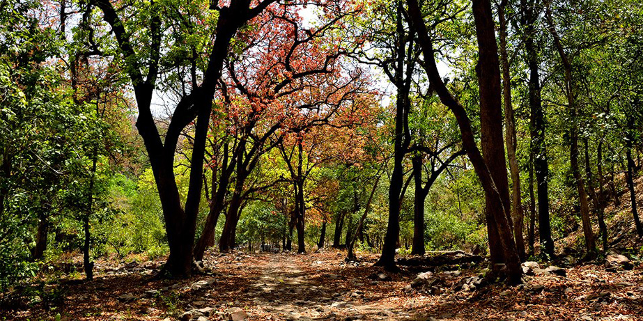 SITAMATA WILDLIFE SANCTUARY