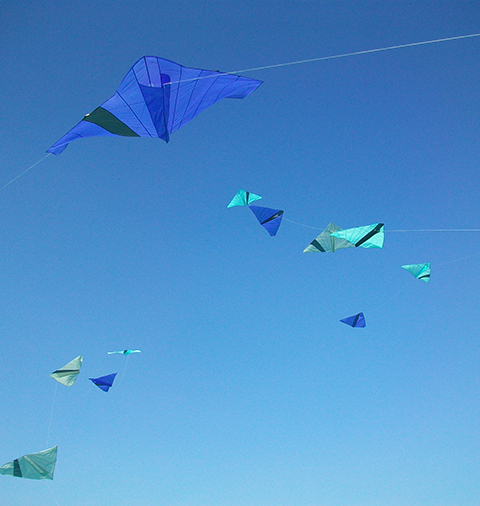 KITE FESTIVAL - 2026