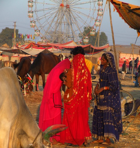 CHANDRABHAGA FAIR - 2025