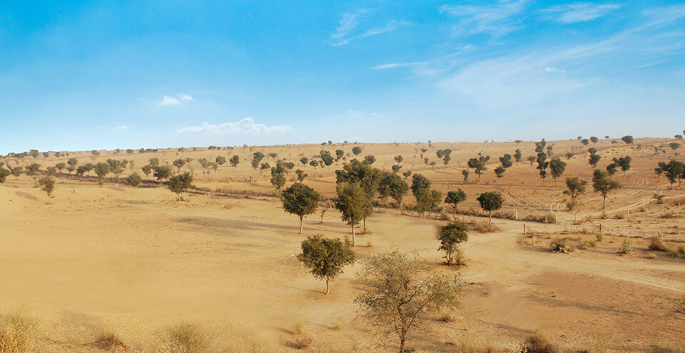Bikaner Camel Festival 2019