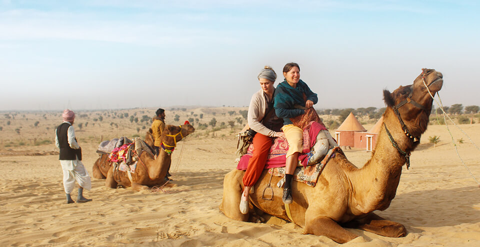 Bikaner Camel Festival 2019