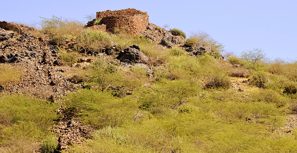 Juna Fort and Temple