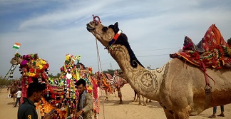 Bikaner Camel Festival-2022