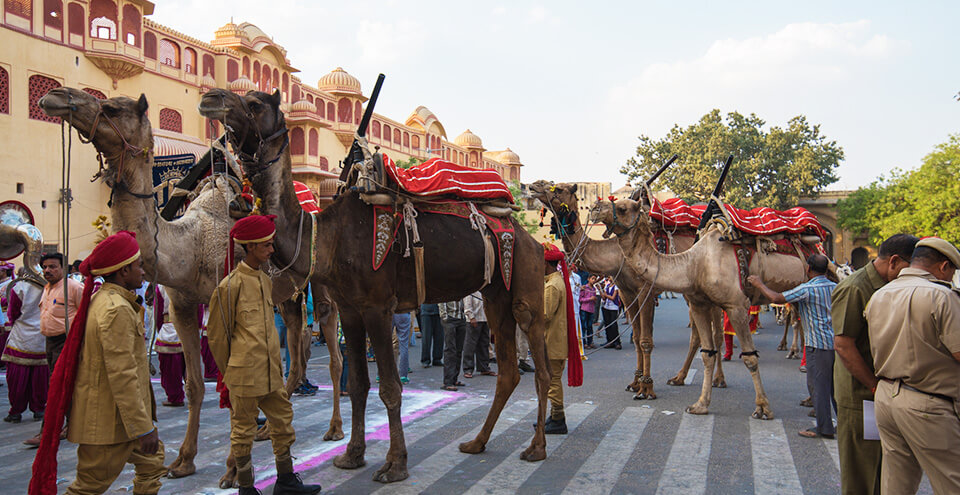 Gangaur Festival 2018