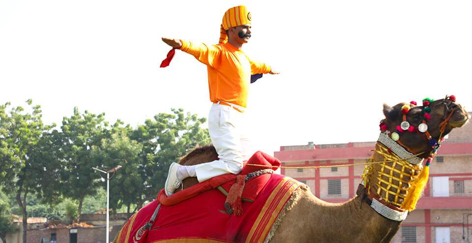 Marwar Festival 2018