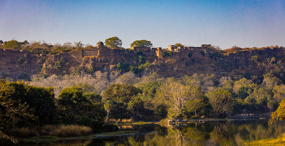 Ranthambore Fort
