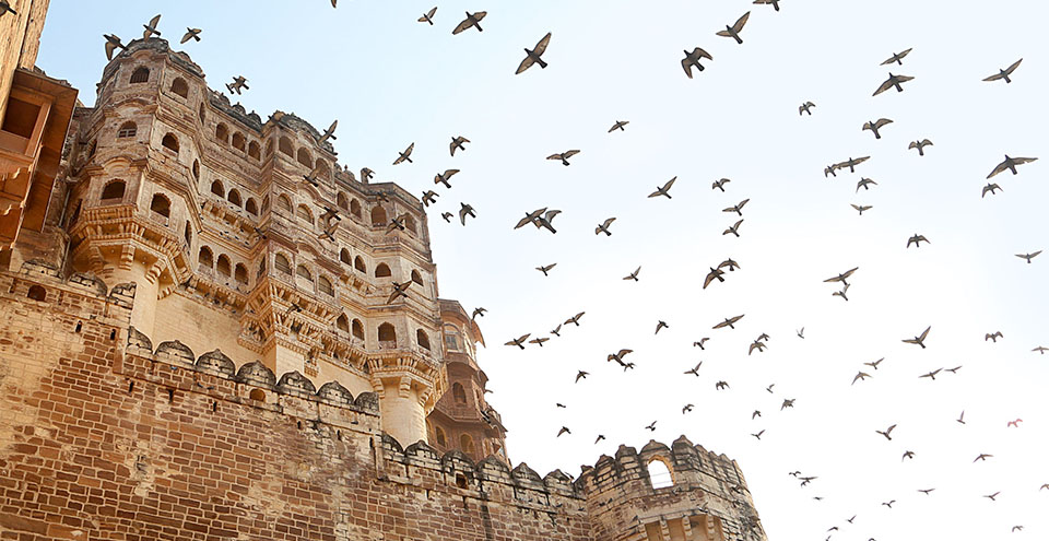 Mehrangarh, Jodhpur