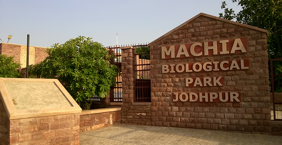 Machia Biological Park, Jodhpur