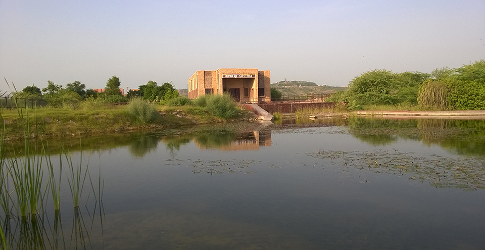 Machia Biological Park, Jodhpur