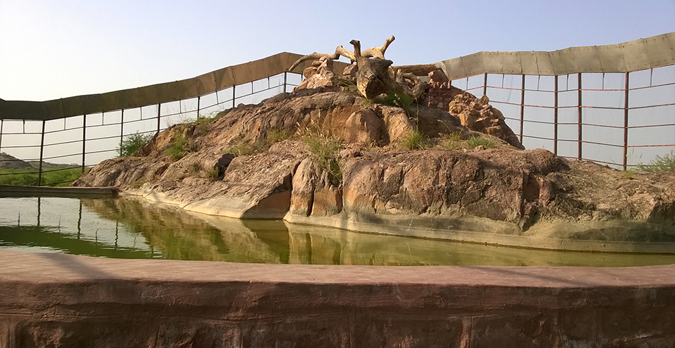Machia Biological Park, Jodhpur
