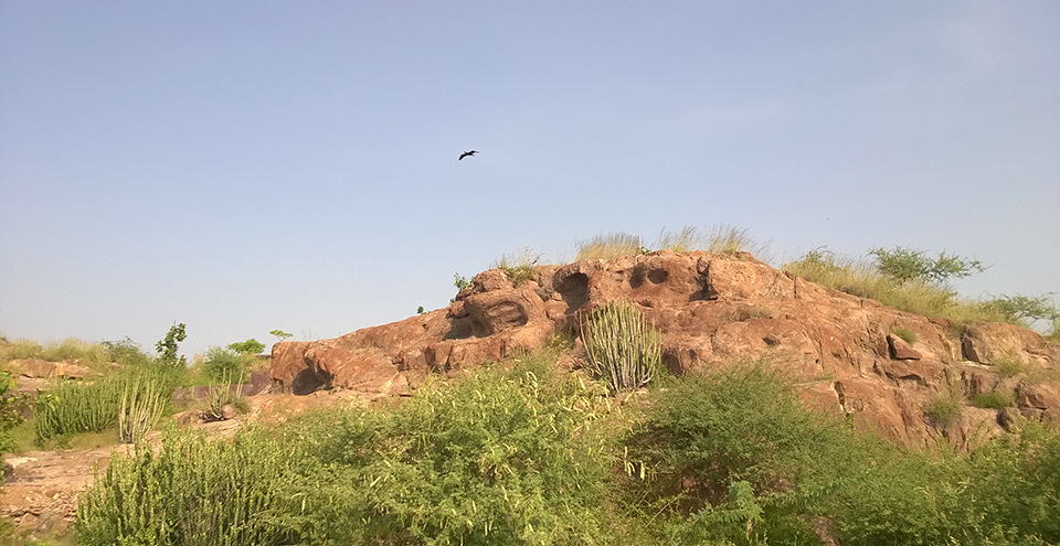 Machia Biological Park, Jodhpur
