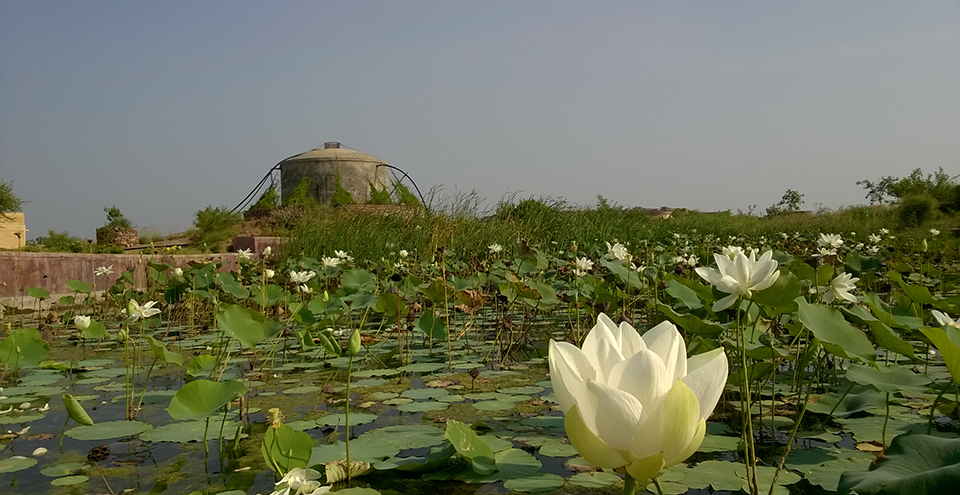 Machia Biological Park, Jodhpur