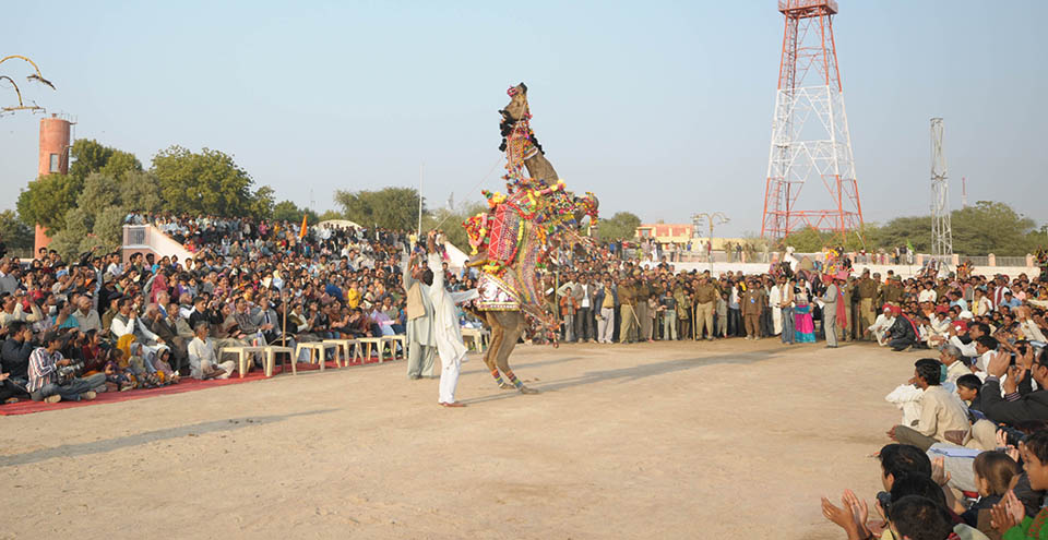 Bikaner Camel Festival