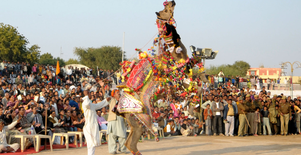 Bikaner Camel Festival