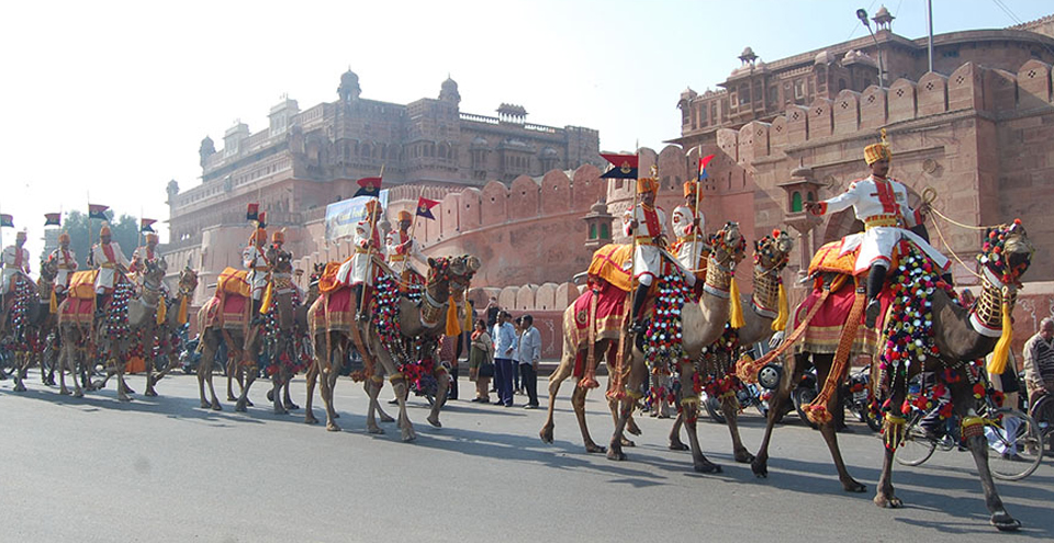 Bikaner Camel Festival