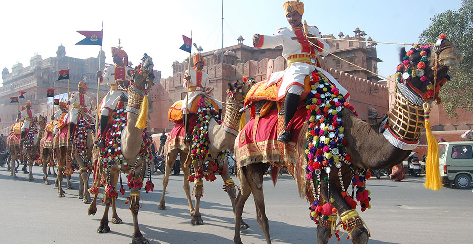 Bikaner Camel Festival