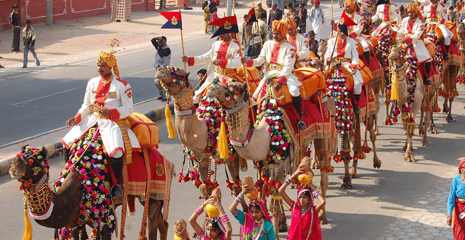 Bikaner Camel Festival