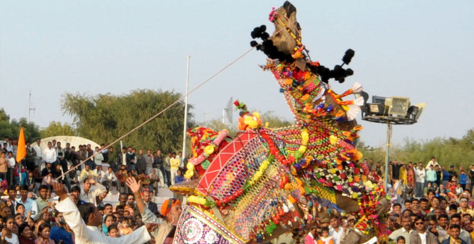 Bikaner Camel Festival