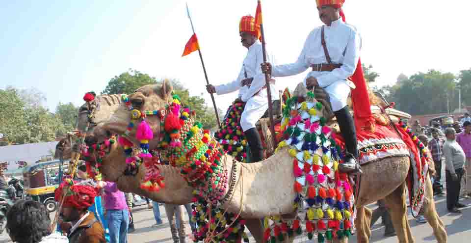 Bikaner Camel Festival