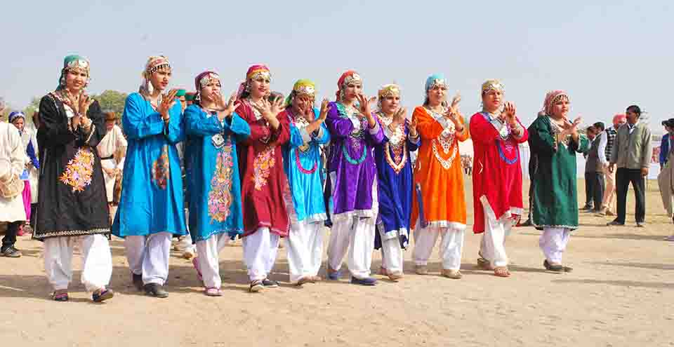 Bikaner Camel Festival