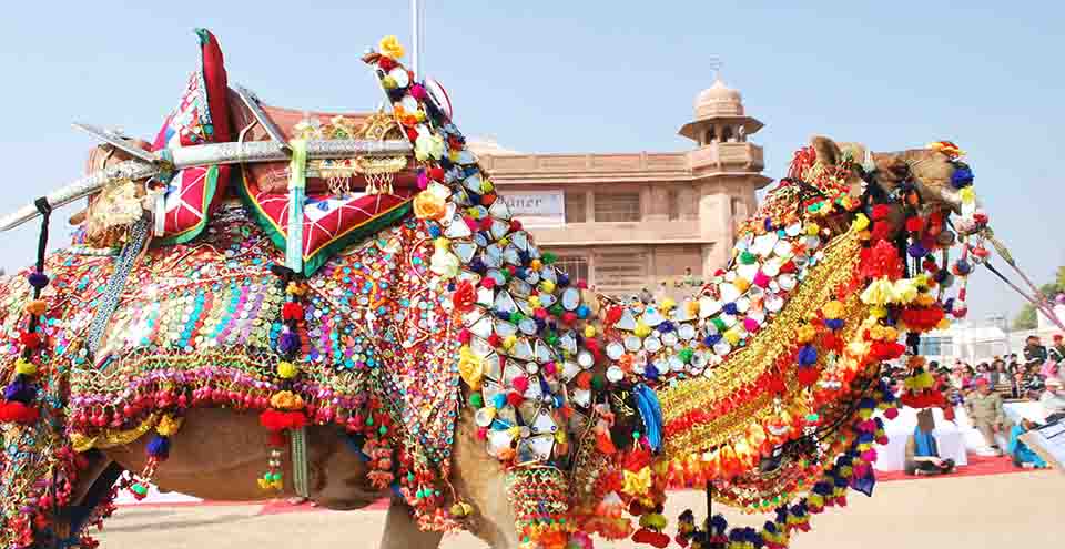 Bikaner Camel Festival