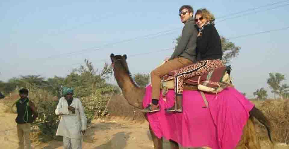 Bikaner Camel Festival