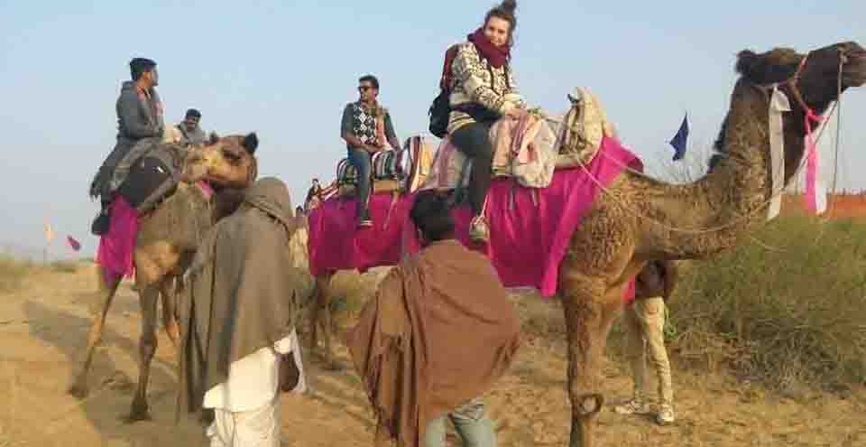 Bikaner Camel Festival