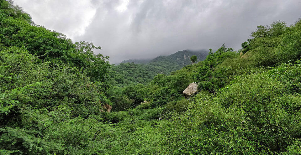 Abu Road to Mount Abu