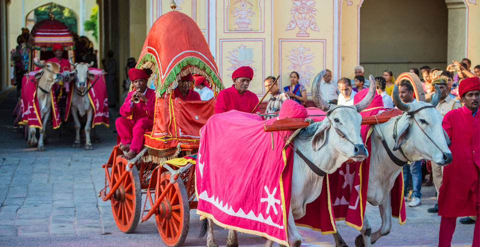 JAIPUR TEEJ FESTIVAL